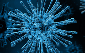 virus virus