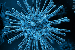 virus virus