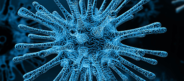 virus virus